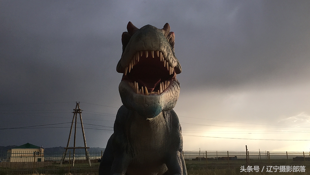 2020年ipa摄影奖获奖作品,ippa摄影大赛获奖作品2010