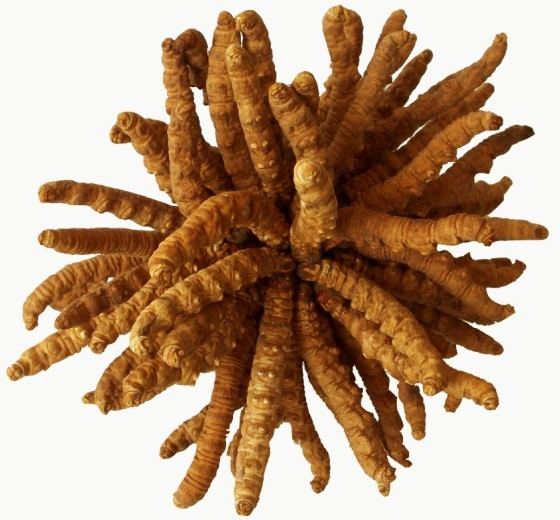 医药十大你不知道的冷知识,医药界的十大顽疾