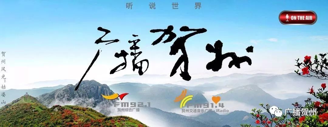 广西虫咬伤人,广西腿被虫咬伤