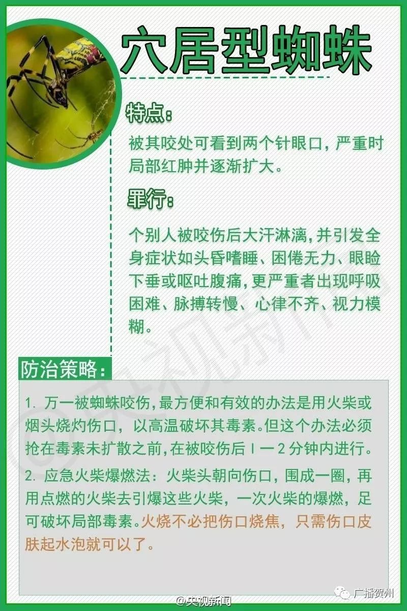 广西虫咬伤人,广西腿被虫咬伤