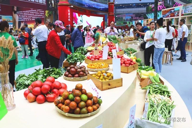 聚焦｜七月“森博”热林城