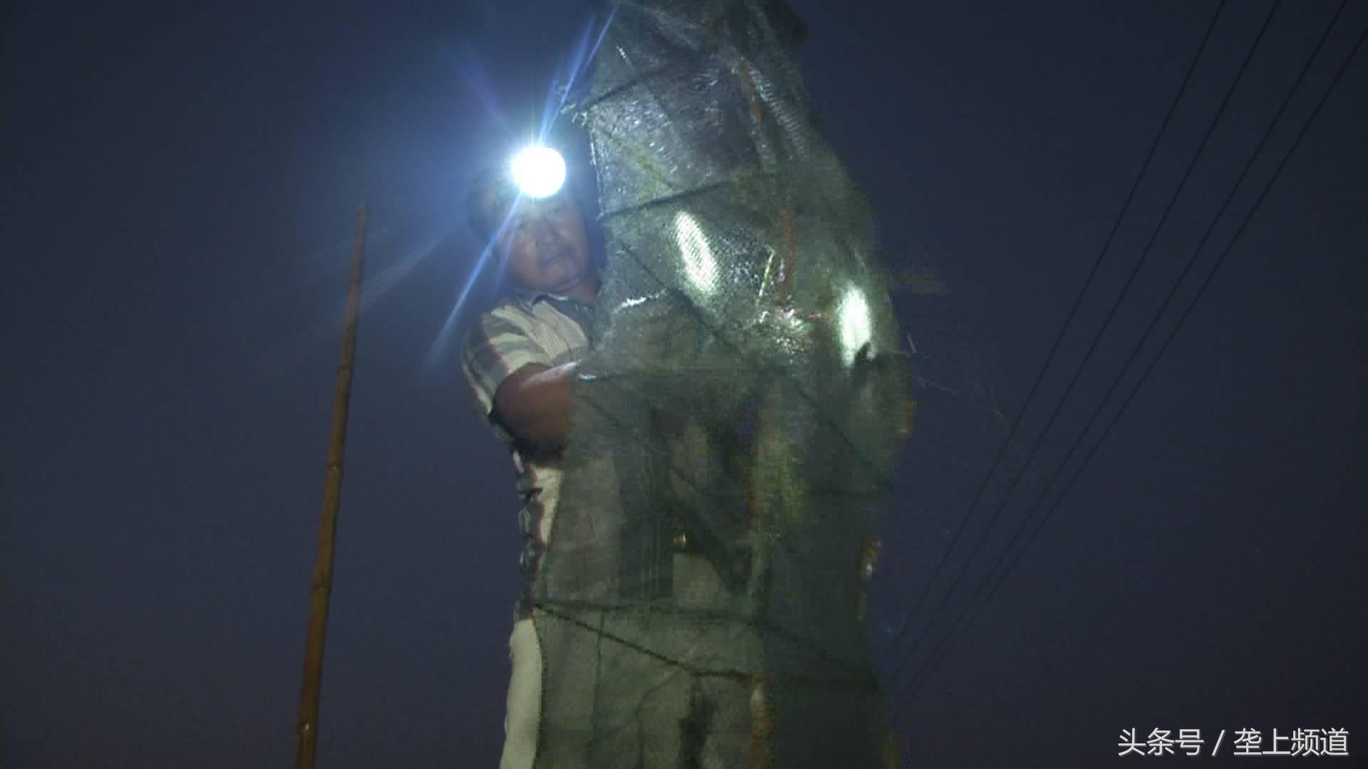 抓捕小龙虾的视频,小龙虾抓捕