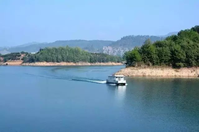 40岁大叔买下一座岛,大叔为钓鱼买下一座岛