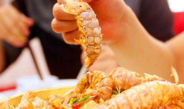 梦旅人海阳,梦旅人旅行