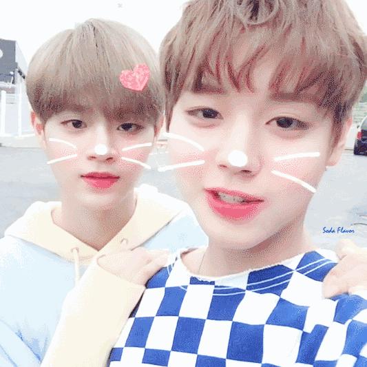 推荐几款平价适合学生用的眼霜,推荐一款可以抚平皱纹的眼霜