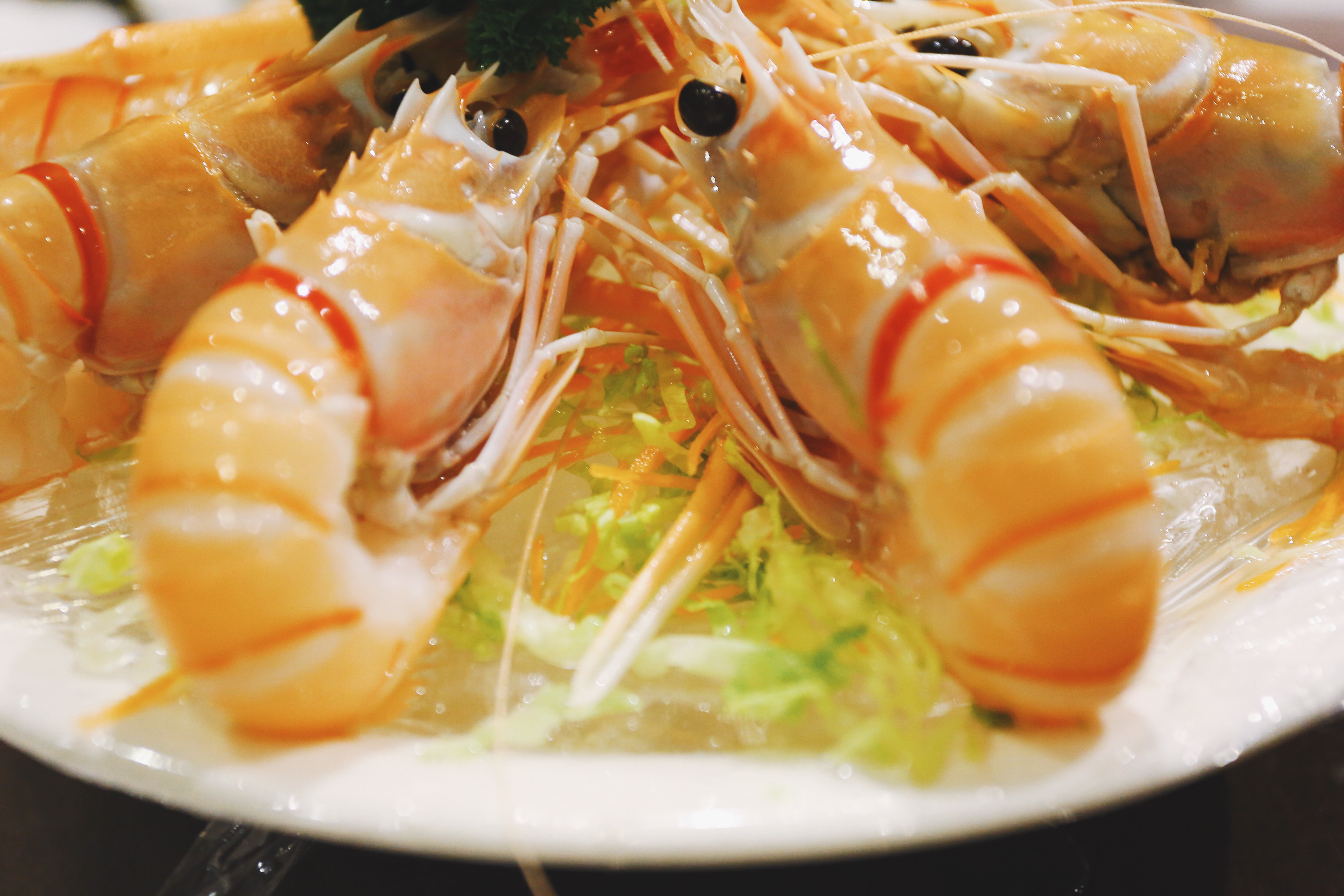 新西兰的海鲜哪个便宜,新西兰海鲜自助餐