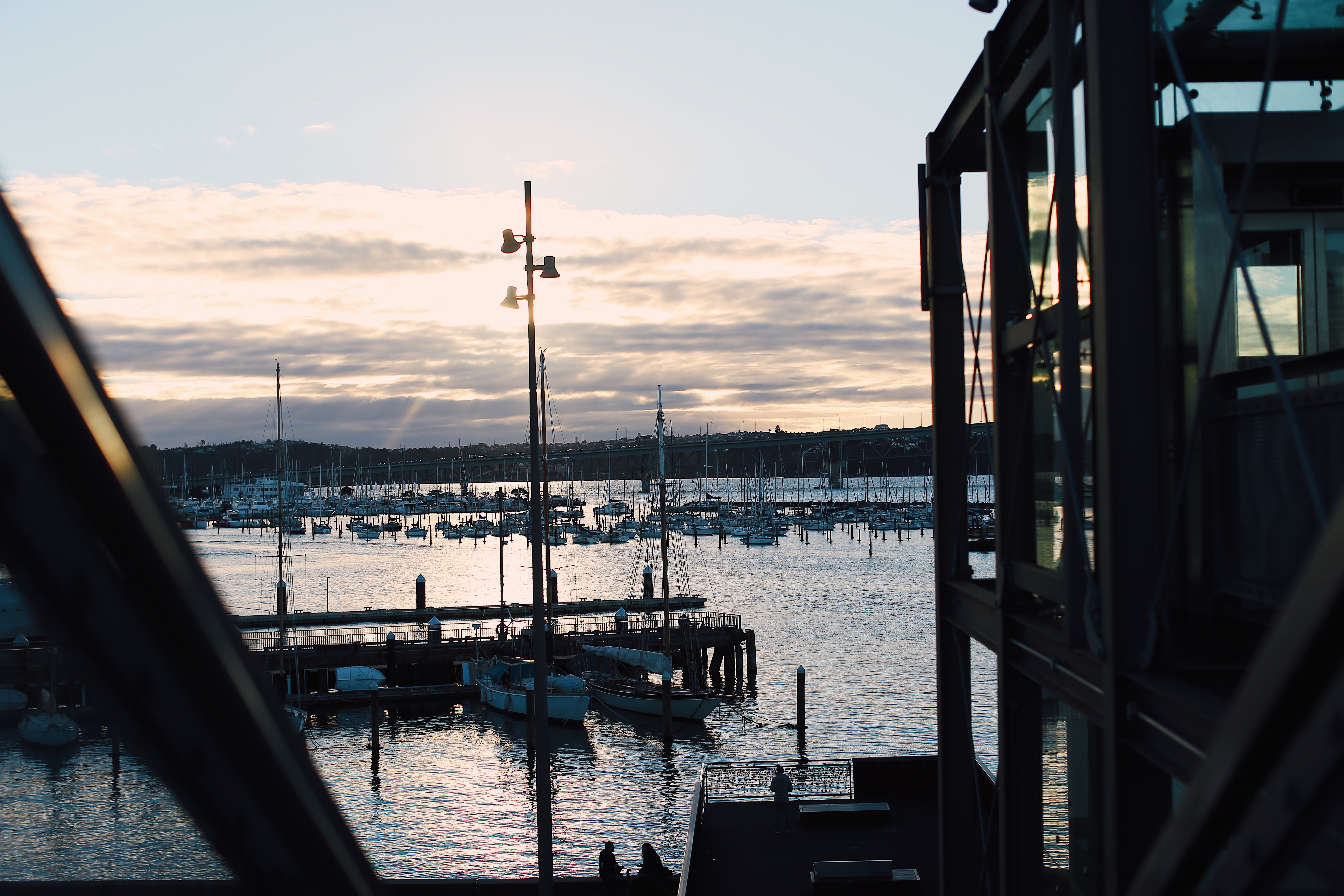 新西兰的海鲜哪个便宜,新西兰海鲜自助餐