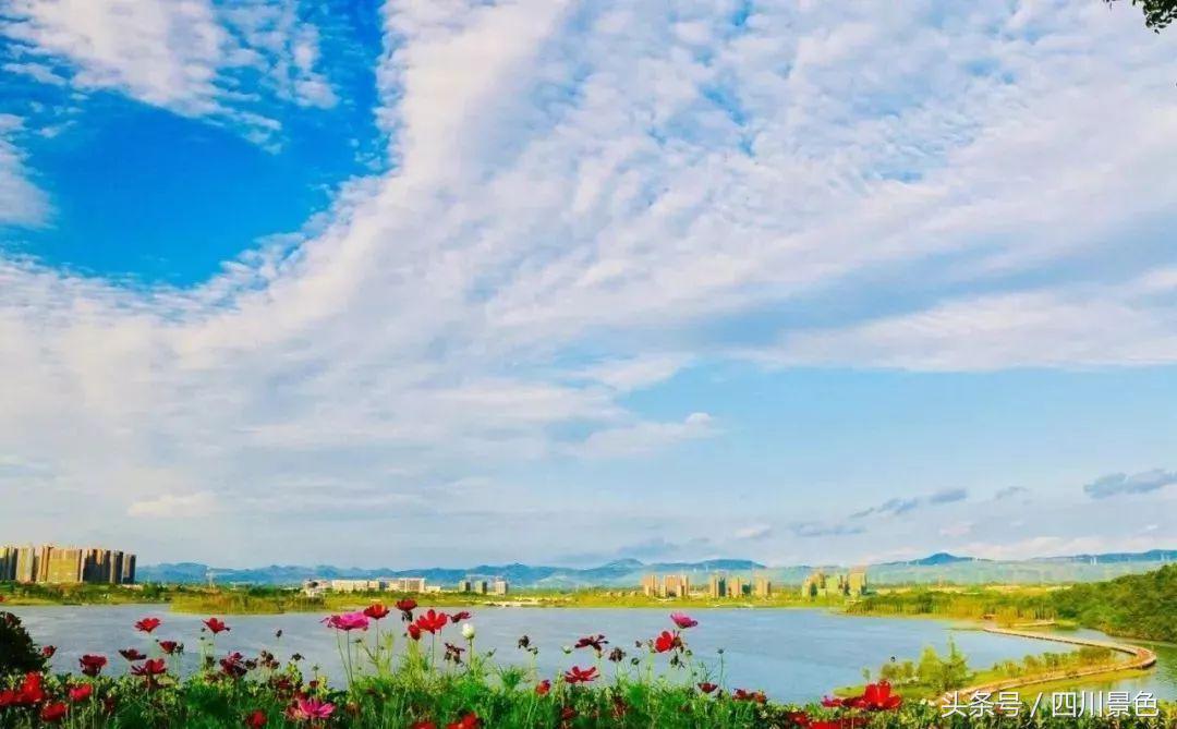 小众又免费！成都地铁直达的天然氧吧！清凉洗肺又解暑！