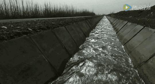 一颗枸杞改变一个村庄！跑完戈壁挑战赛，他们又跑赢了……