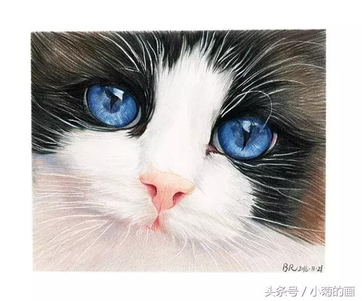 彩铅素描都是用的哪种彩铅,零基础学彩铅要先学会素描吗