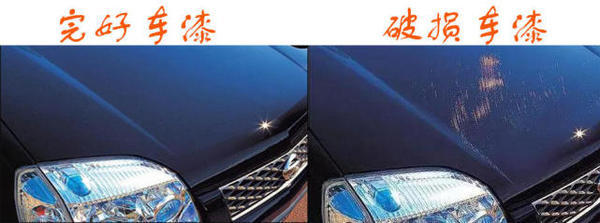 新车车漆如何维护保养,新车车漆保养最好的办法