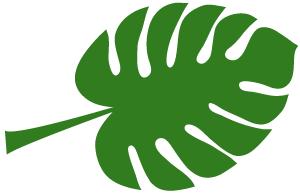 最高法院关于申请再审案例,最高法院关于再审审查规定