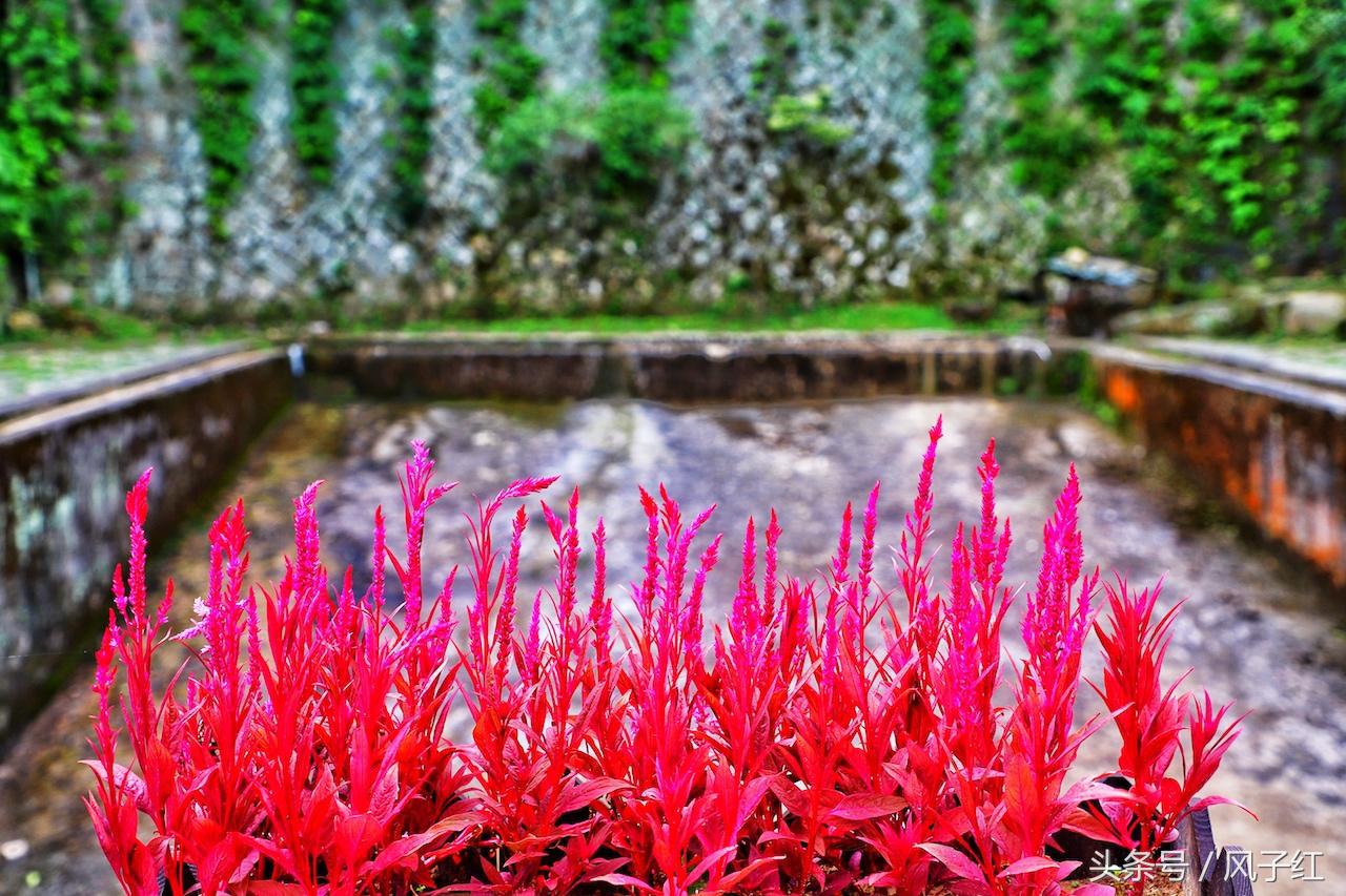 福州避暑网红景点前十名,福州夏天周边游景点推荐最新