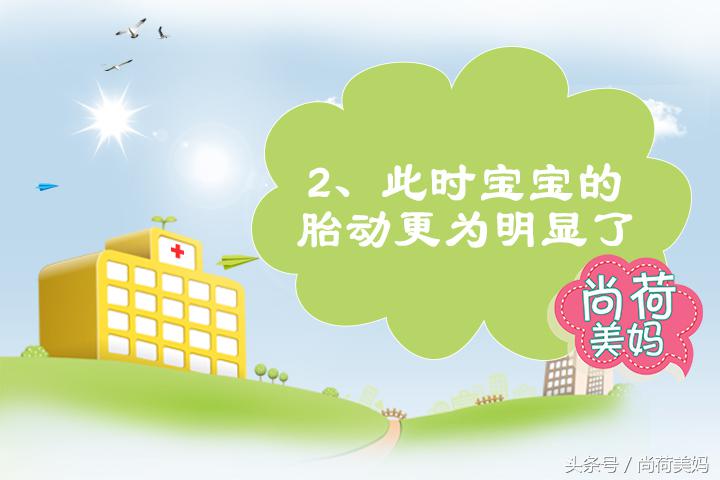 23周小月子后应该注意什么,怀孕第3个月胎宝宝的变化