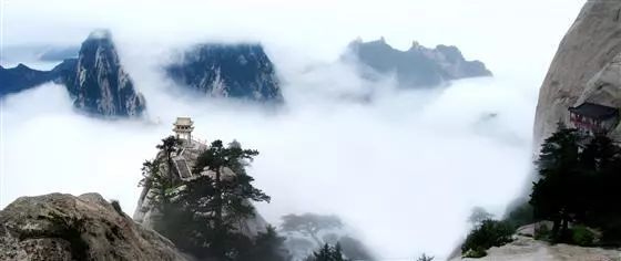 秦岭有中华绿芯之称,秦岭徽标