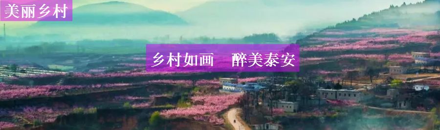 泰山登山证能去哪些地方免费,爬泰山什么证件可以免费