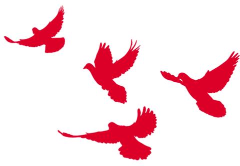 《中国保险报》*党**建周刊创刊啦！（附版面展示）