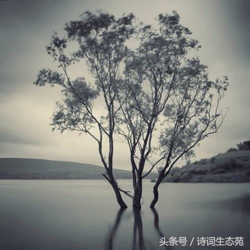 判词,判词是如何写成的