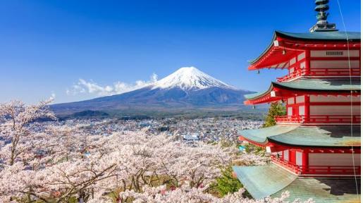 鍘诲摢鍎跨綉閰掑簵浼樻儬,鍘诲摢鍎跨綉鍏嶈垂鎻愪緵閰掑簵浣忓