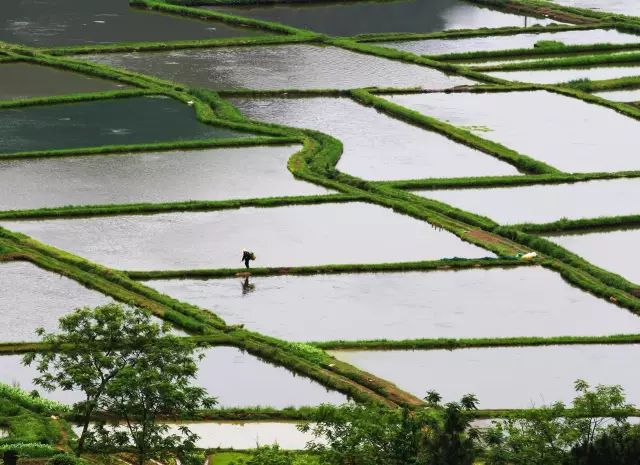 这才是桂林该有的样子,这才是广西最美的美景