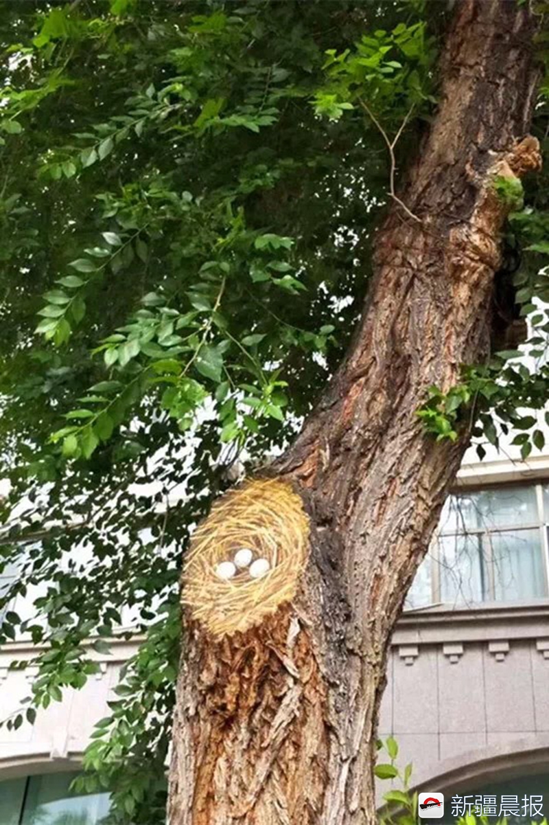 布尔津童话边城民宿,布尔津童话边城酒店