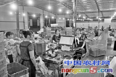 数据多“跑腿儿”蔬菜更新鲜