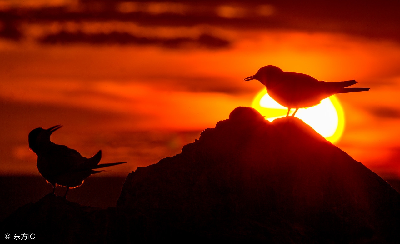从军四十载退休告别打油诗,退休老人打油诗顺口溜