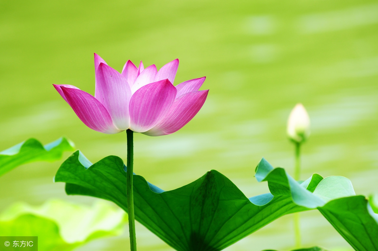 心情很糟糕的随笔,心情很糟糕的短文