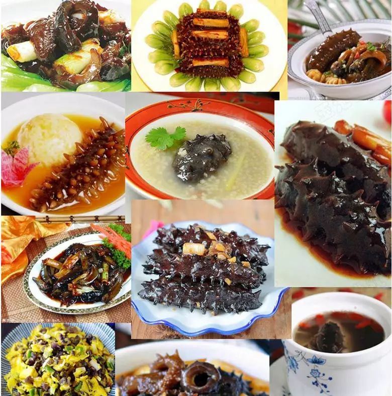 想要有滋补作用的海参要掌握三点,滋补身体用哪种海参比较好