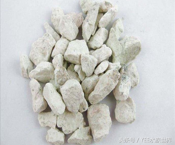 鱼缸不换水能加一点点高锰酸钾吗,鱼缸不换水杀菌