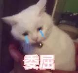 种草好护肤品,种草好用平价护肤品