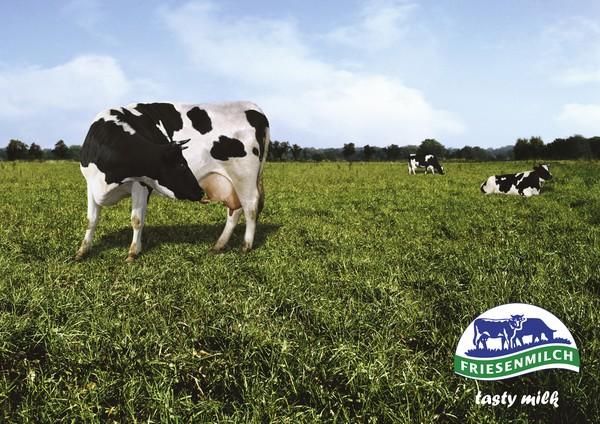 奶粉广告违法案例,网红奶粉被罚10万元