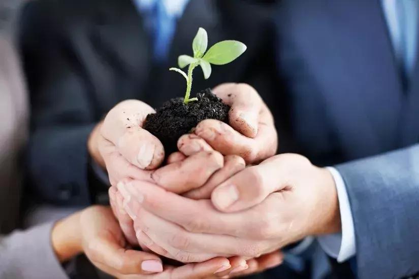 企业家浙商三点忠告,80后的创业者心酸感言