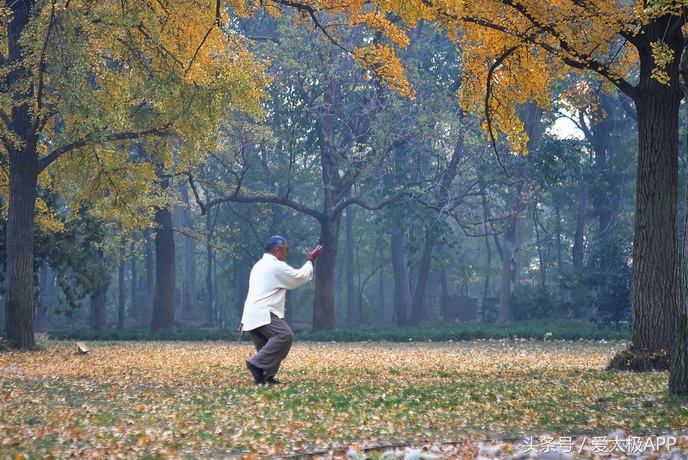 关于太极方面的16字口号,简短有气势的太极口号
