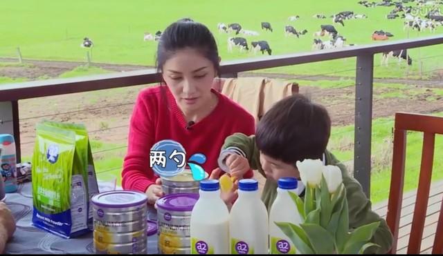 a2奶粉罚款原因 (a2奶粉罚款10万是真的吗)