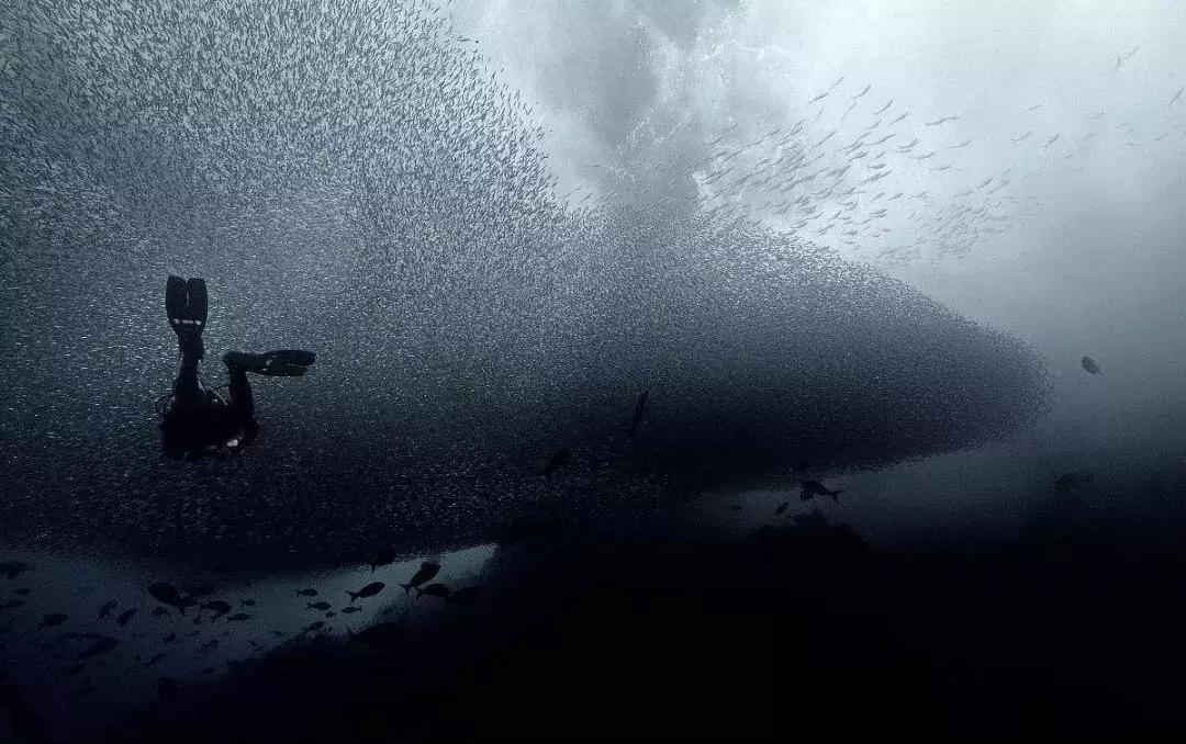 40年我们共同走过,辉煌40年奋斗新时代