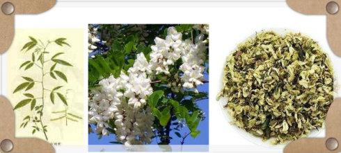 中医常用处方大全,中医常用的方剂及作用