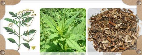 中医常用处方大全,中医常用的方剂及作用