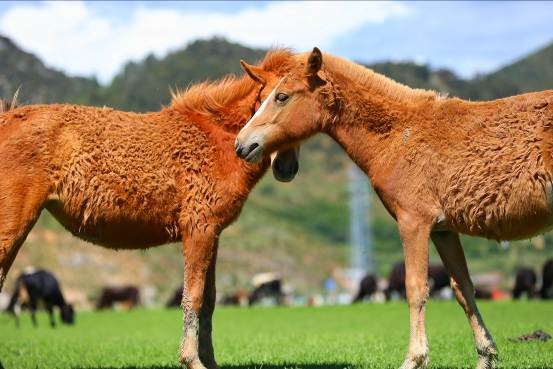 EOS看世界选择,让你看到如此不同的摩登新语