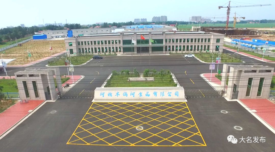 今年咱大名投资上亿的大项目、好项目，你知道几个？