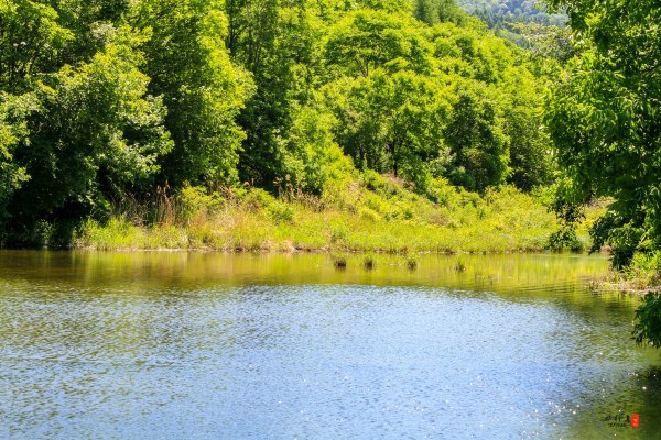 抚顺攻略,抚顺深度游攻略游记