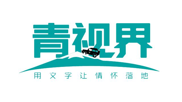 不好!Vvip摔车了!