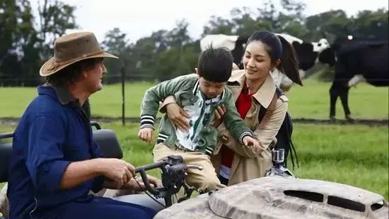 新西兰奶粉问题曝光,新西兰奶粉哪种品牌出问题