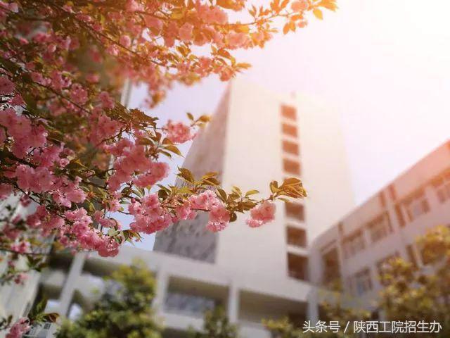 90后大学生：办公司，开网店，一天销售700单，年销售额600万