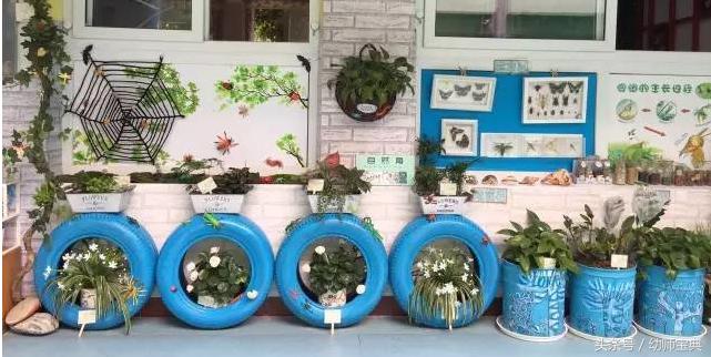 幼儿园科学区角设计,幼儿园区角科学区视频