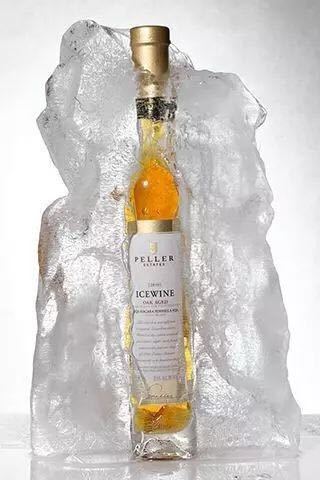 加拿大盛产的冰酒，具体怎么样，看吃货留学生怎么说