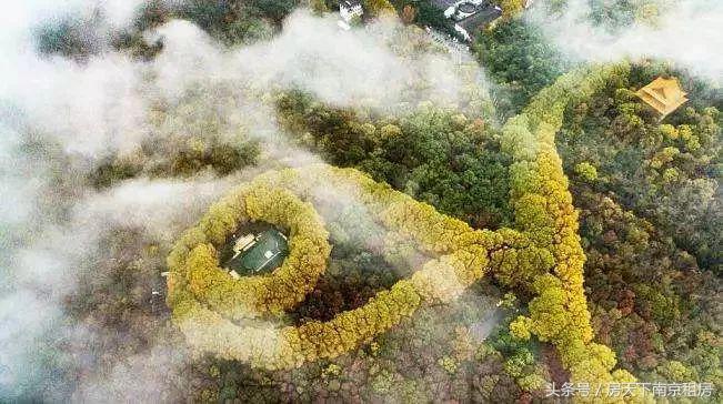 2018年南京富豪区,南京8大顶级富人区曝光