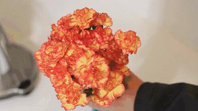 洗衣机甩东西有脏东西,波轮洗衣机脏东西跑出来