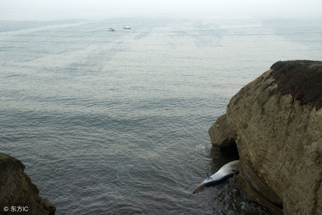 怎么减少尖锐性湿疣复发概率,尖锐性湿疣怎样避免复发