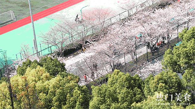 该不该去上海读大学,千万不要来香港读研